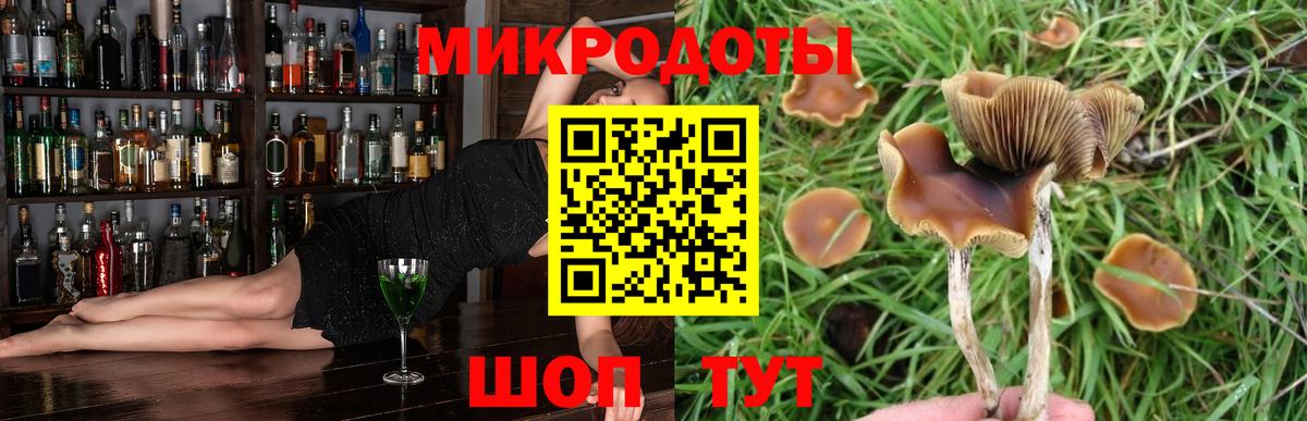 Галлюциногенные грибы мицелий  где можно купить наркотик  Камышлов  Псилоцибиновые грибы Cubensis  Вход с VPN 