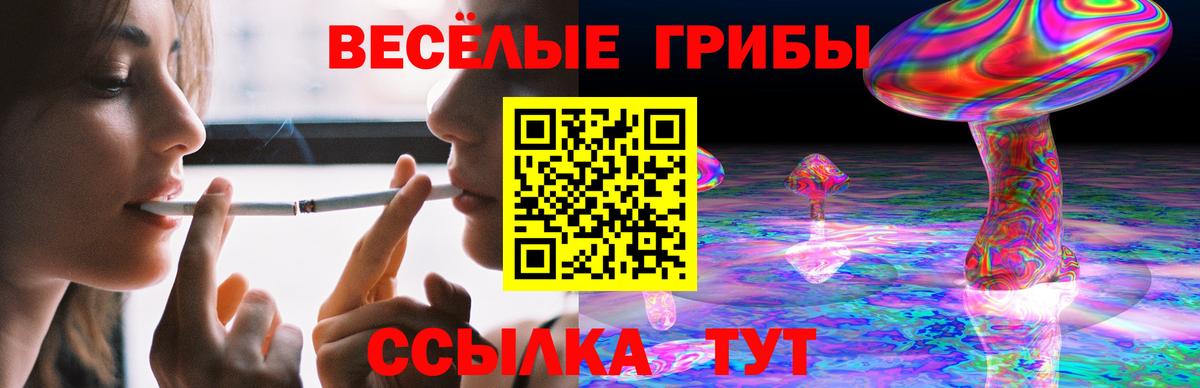 КОКАИН Камышлов